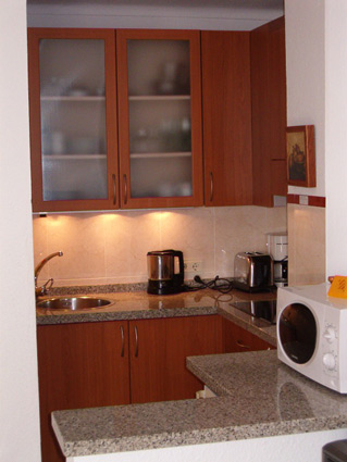 studio apartment to rent Torrox Costa Kitchen Area